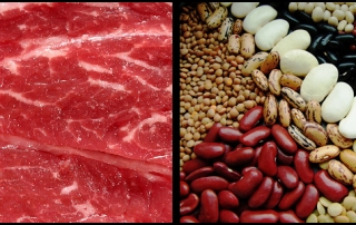 Comment remplacer la viande de nos assiettes ?